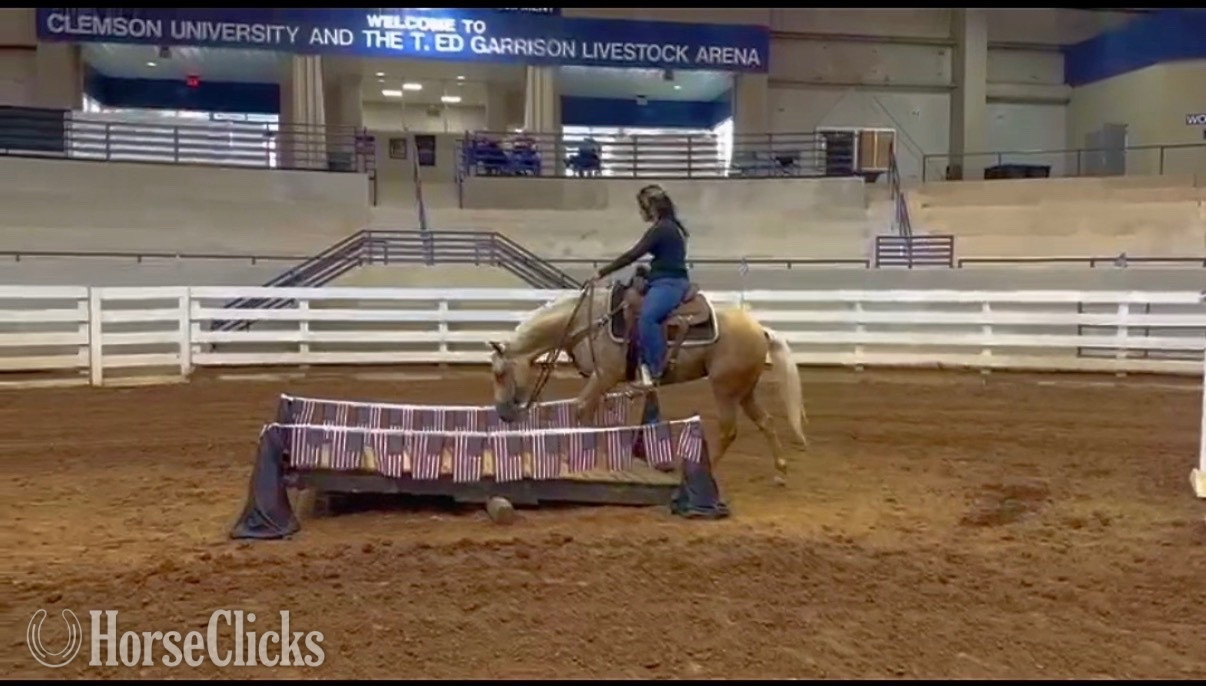 "Favor " Palomino Mare Quarter Horse - Quarter Horse in Georgia