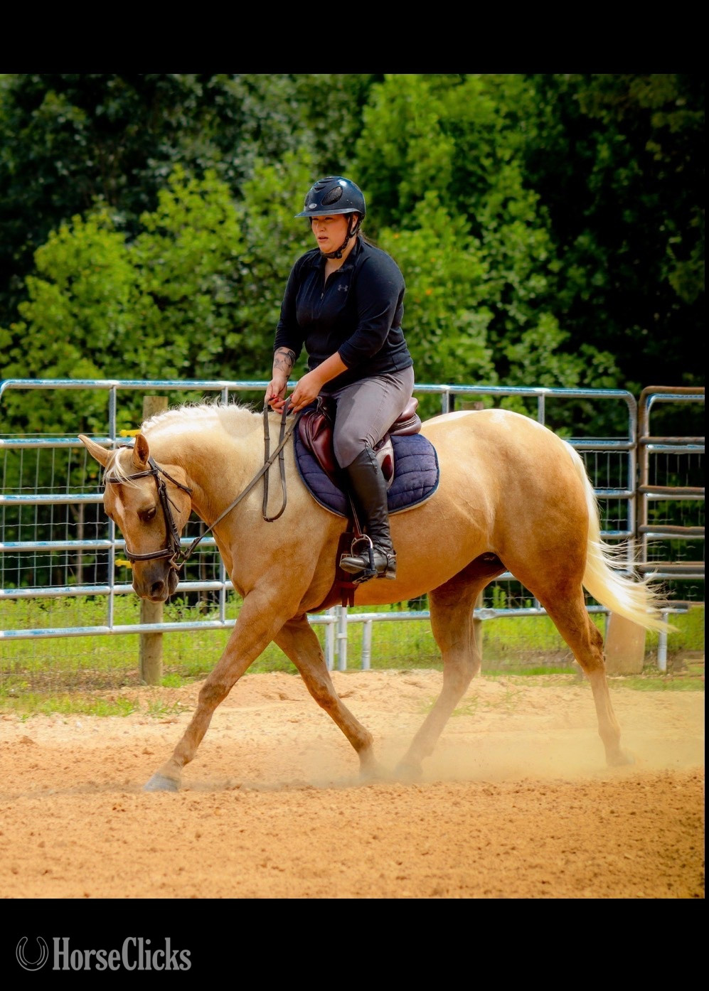 "Favor " Palomino Mare Quarter Horse - Quarter Horse