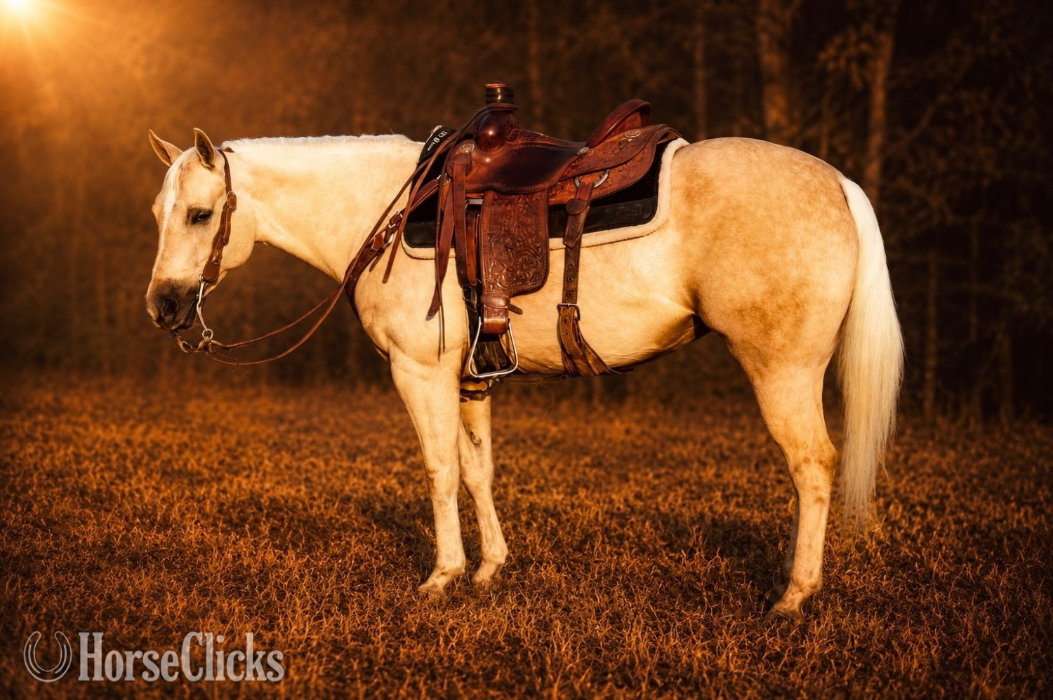 "Favor " Palomino Mare Quarter Horse Georgia