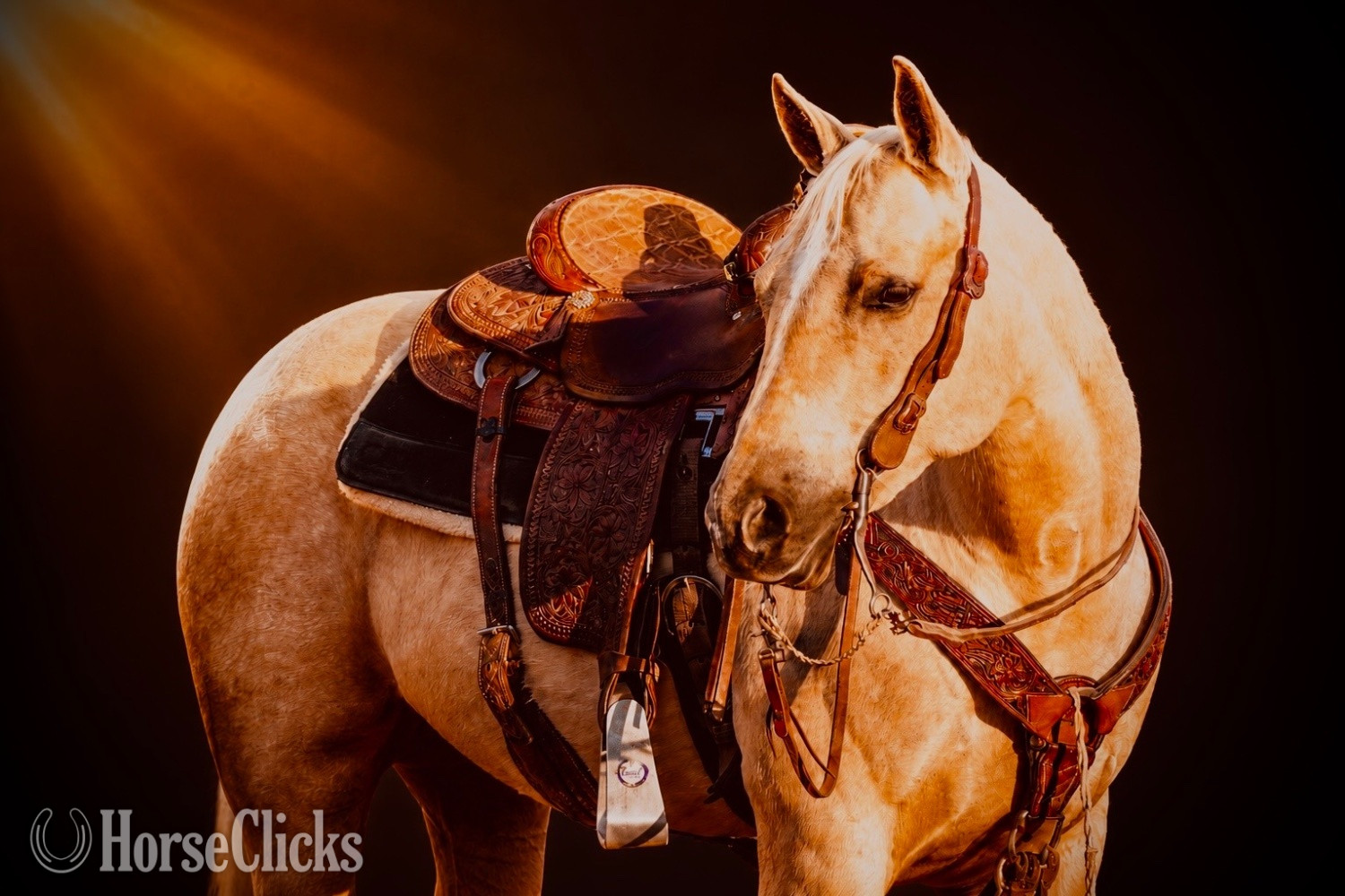 Quarter Horse - "Favor " Palomino Mare Quarter Horse