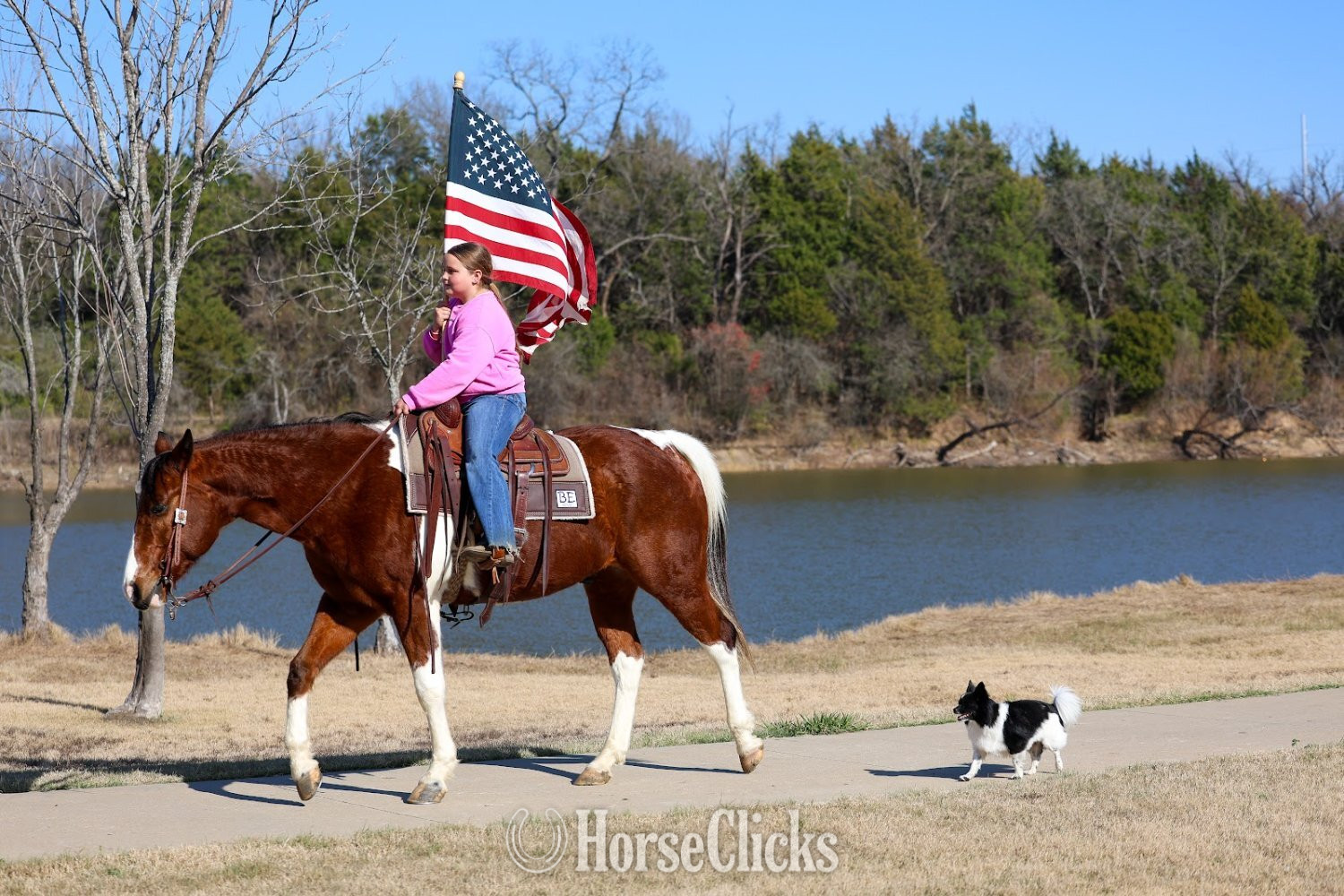 "CUPID" Tabiano Gelding Paint Texas