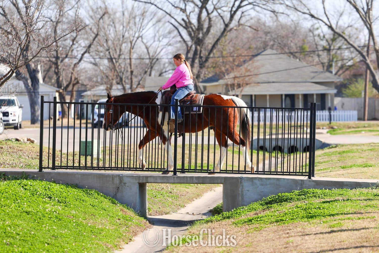 Paint - "CUPID" Tabiano Gelding Paint in Texas