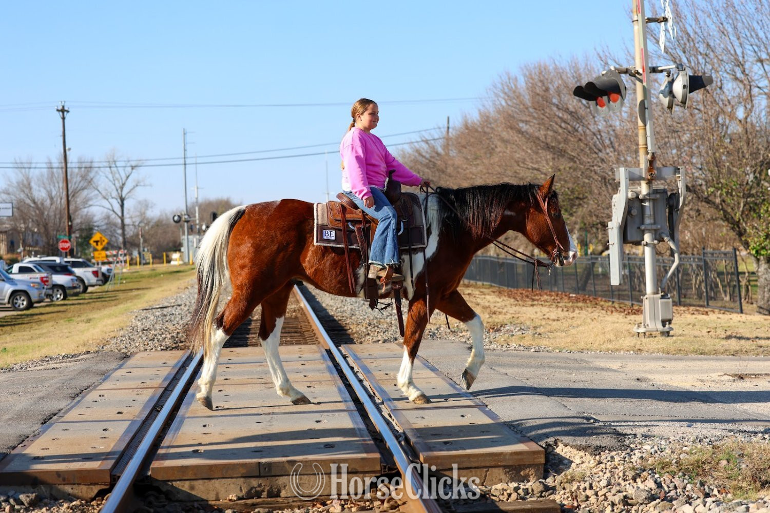 Paint - "CUPID" Tabiano Gelding Paint