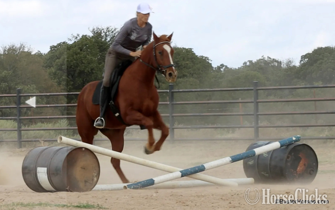 "Three Bars Of Gold" Sorrel Gelding Quarter Horse - Quarter Horse in Texas