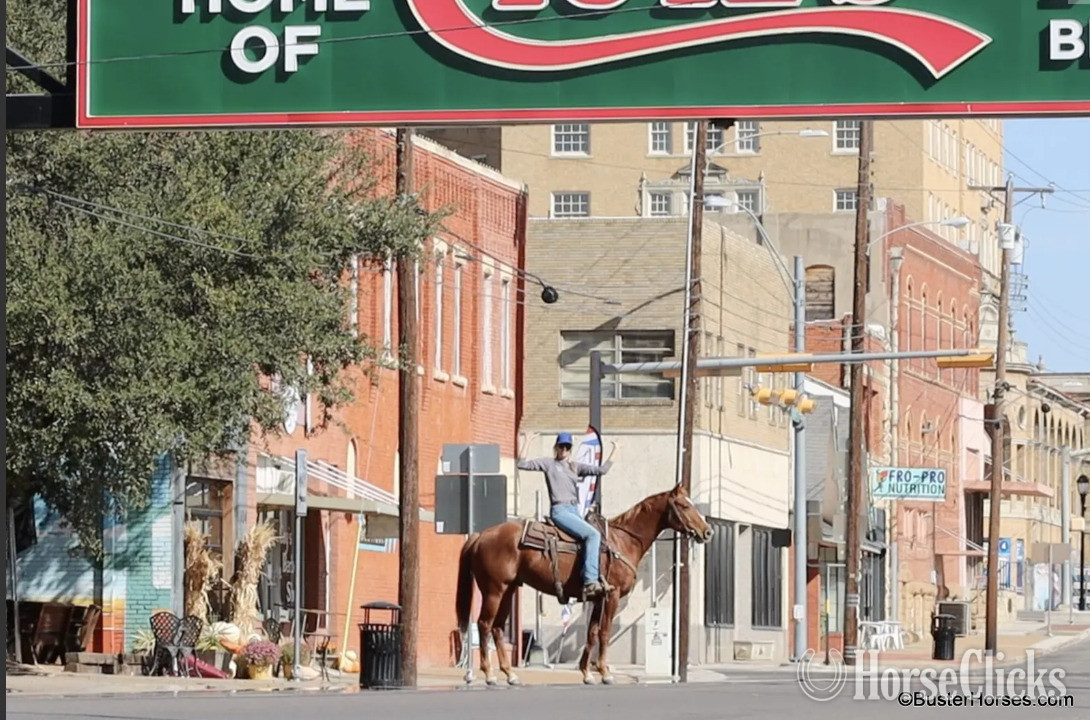 "Three Bars Of Gold" Sorrel Gelding Quarter Horse Texas