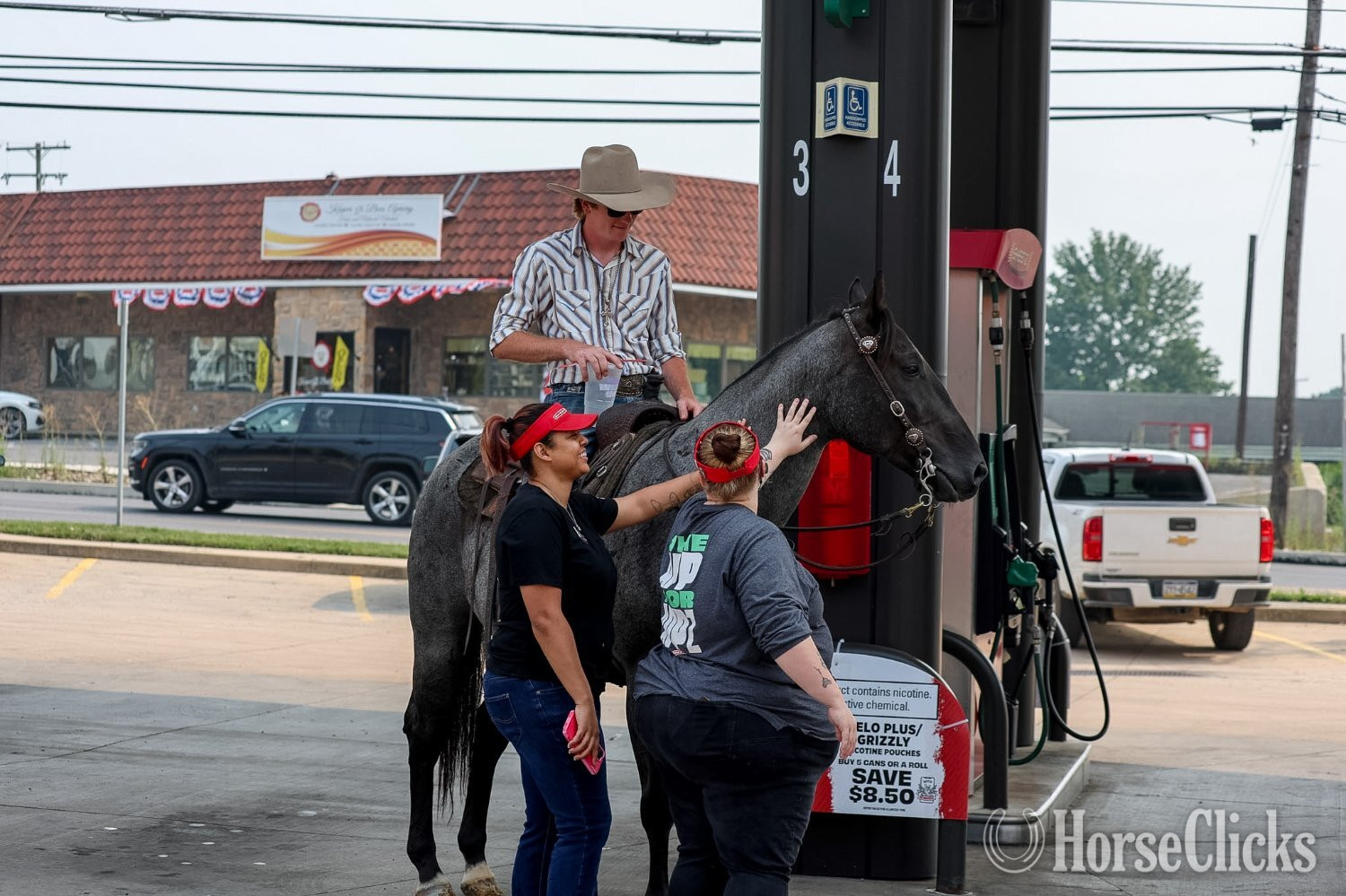 "Bluey " Blue Roan Gelding Quarter Horse Pennsylvania