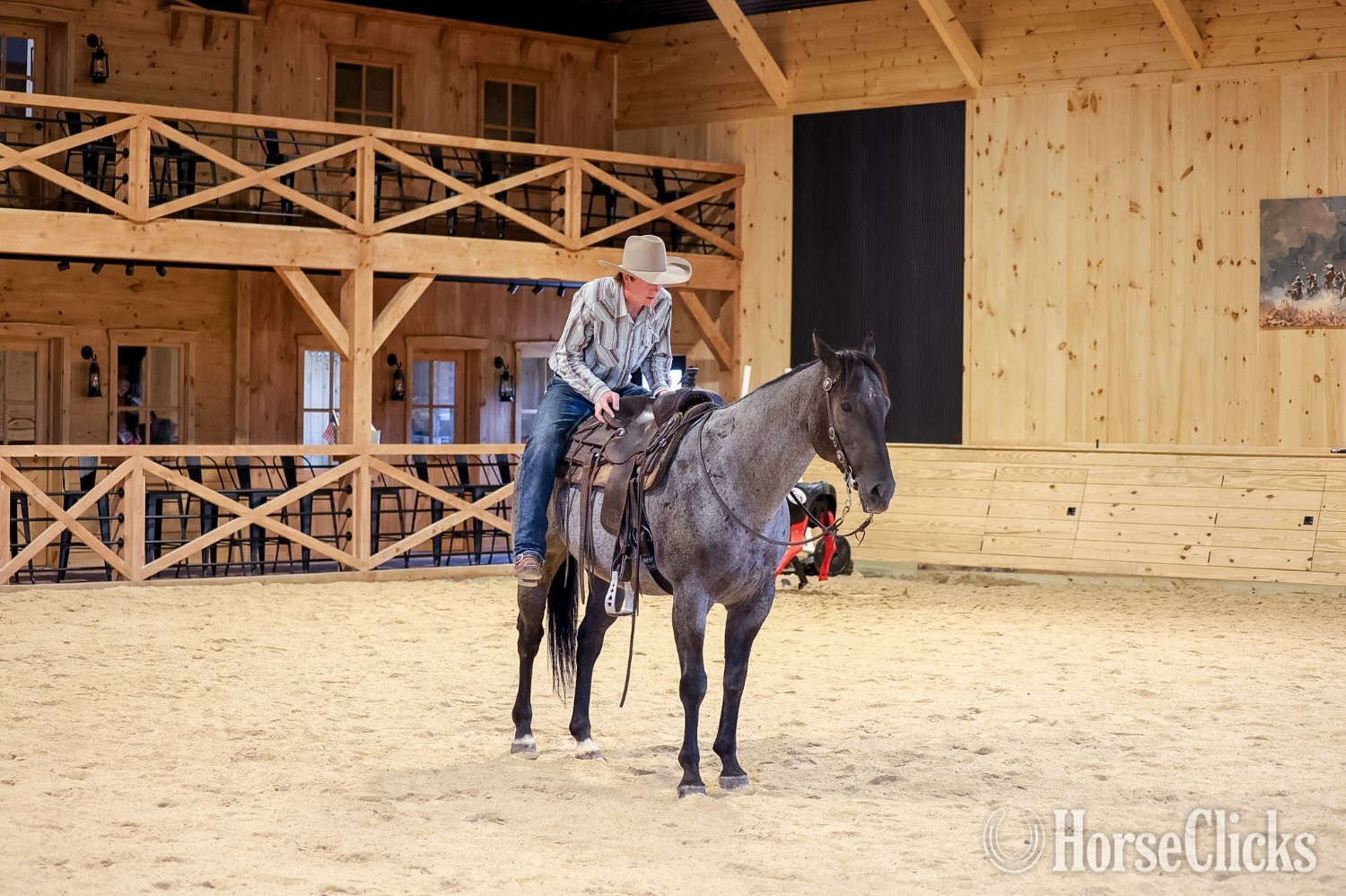 Quarter Horse - "Bluey " Blue Roan Gelding Quarter Horse in Pennsylvania