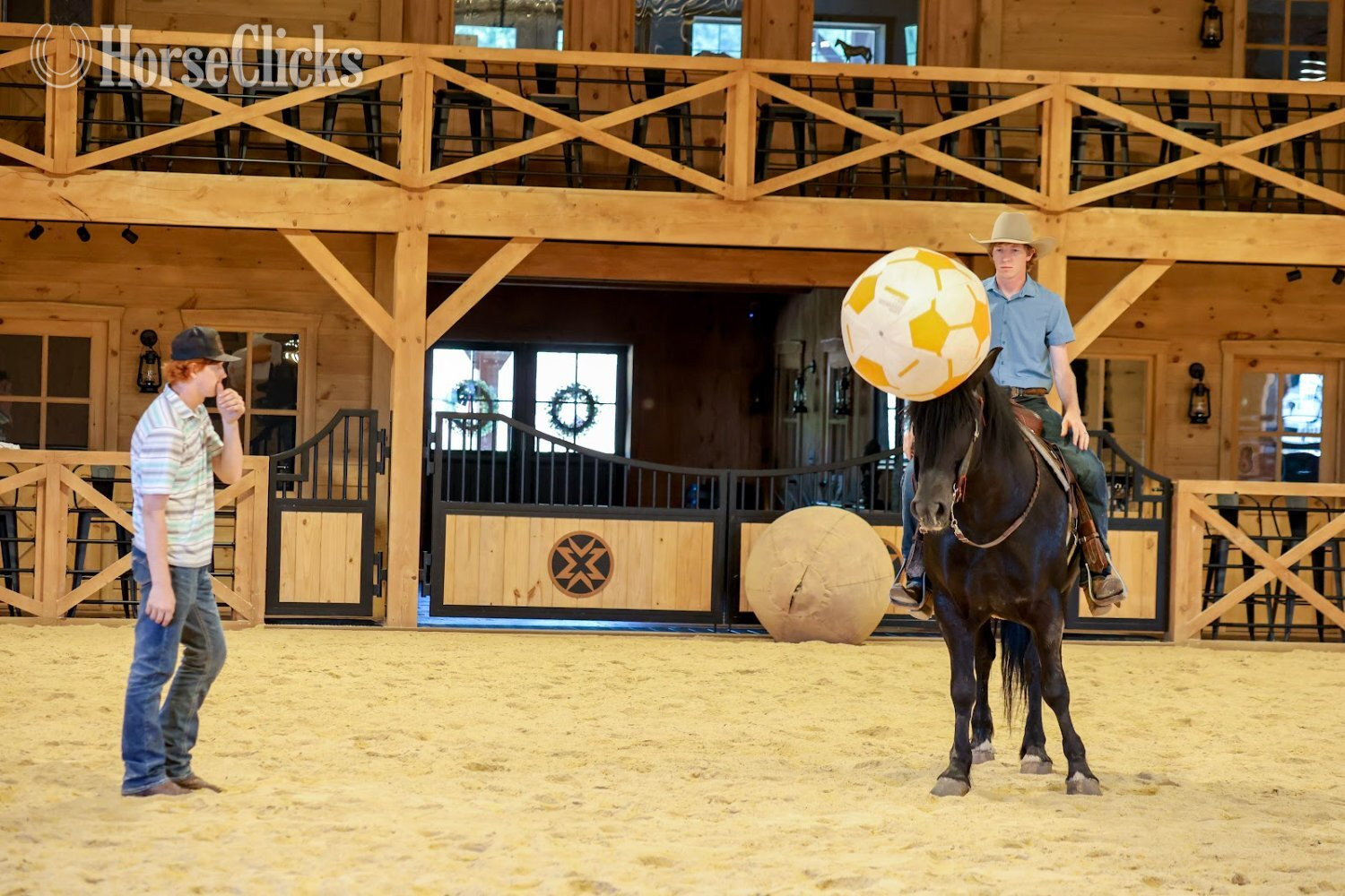 "Rome" Black Gelding Draft - Draft