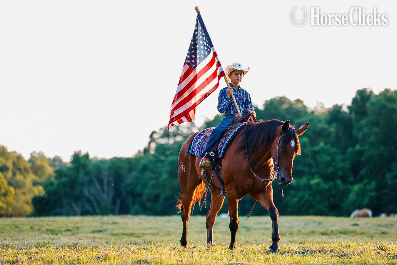Tennessee "Mouse" Bay Gelding Quarter Horse