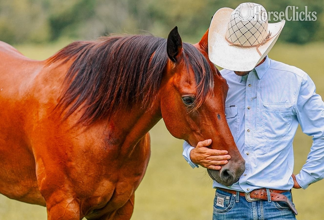 "Mouse" Bay Gelding Quarter Horse Tennessee