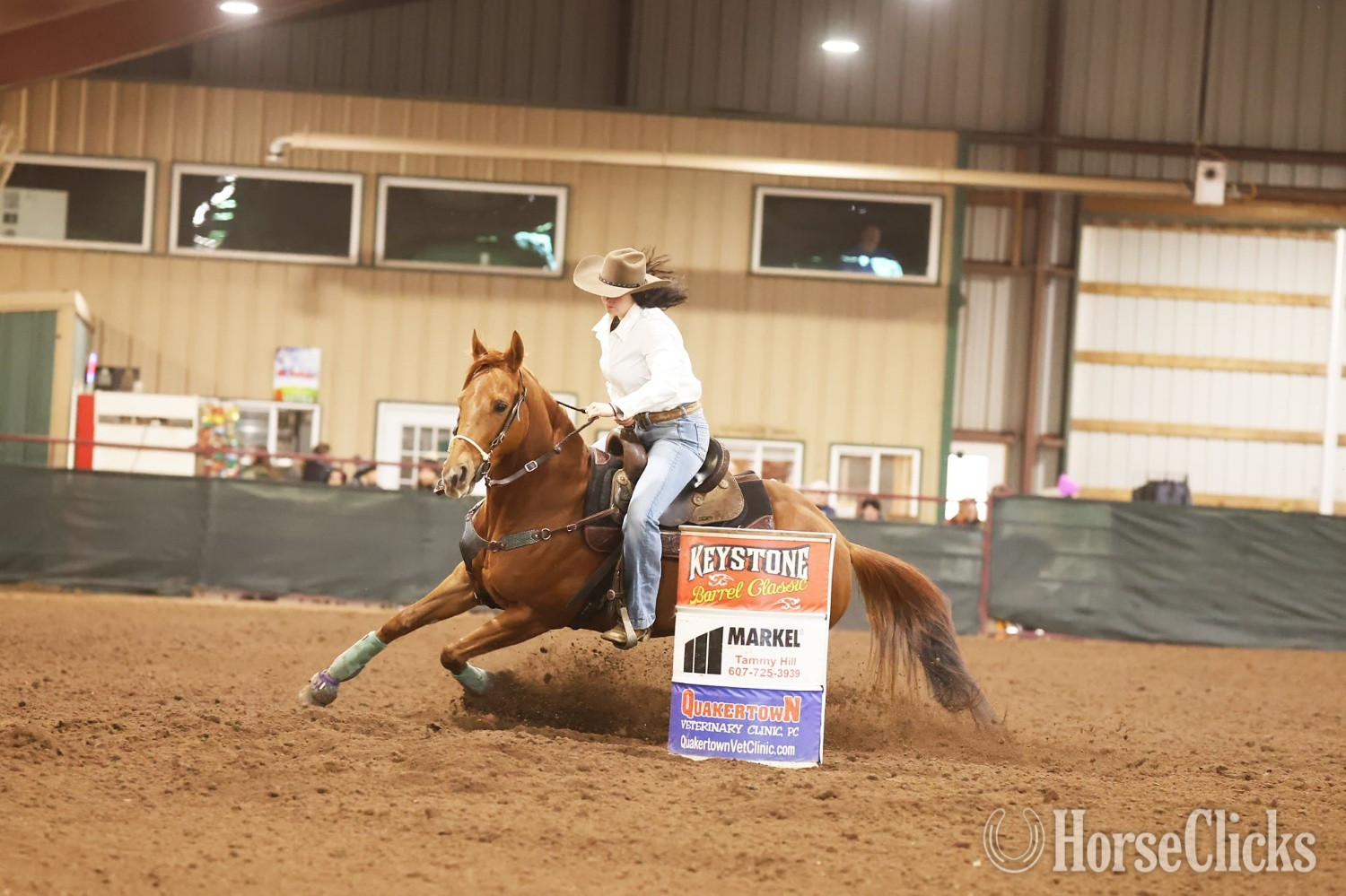 Pennsylvania "Bid For The Crown" Chestnut Mare Thoroughbred