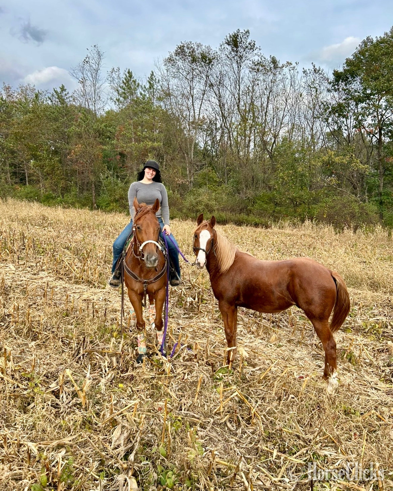 "Bid For The Crown" Chestnut Mare Thoroughbred - Thoroughbred in Pennsylvania