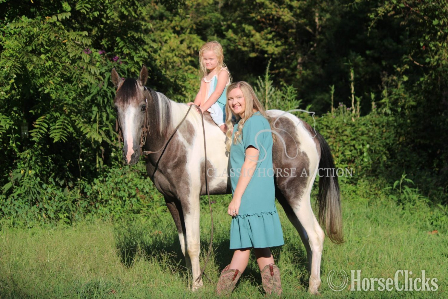 Kentucky "DOC" Grey Gelding Tennessee Walker
