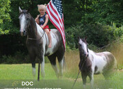 "DOC" Grey Gelding Tennessee Walker