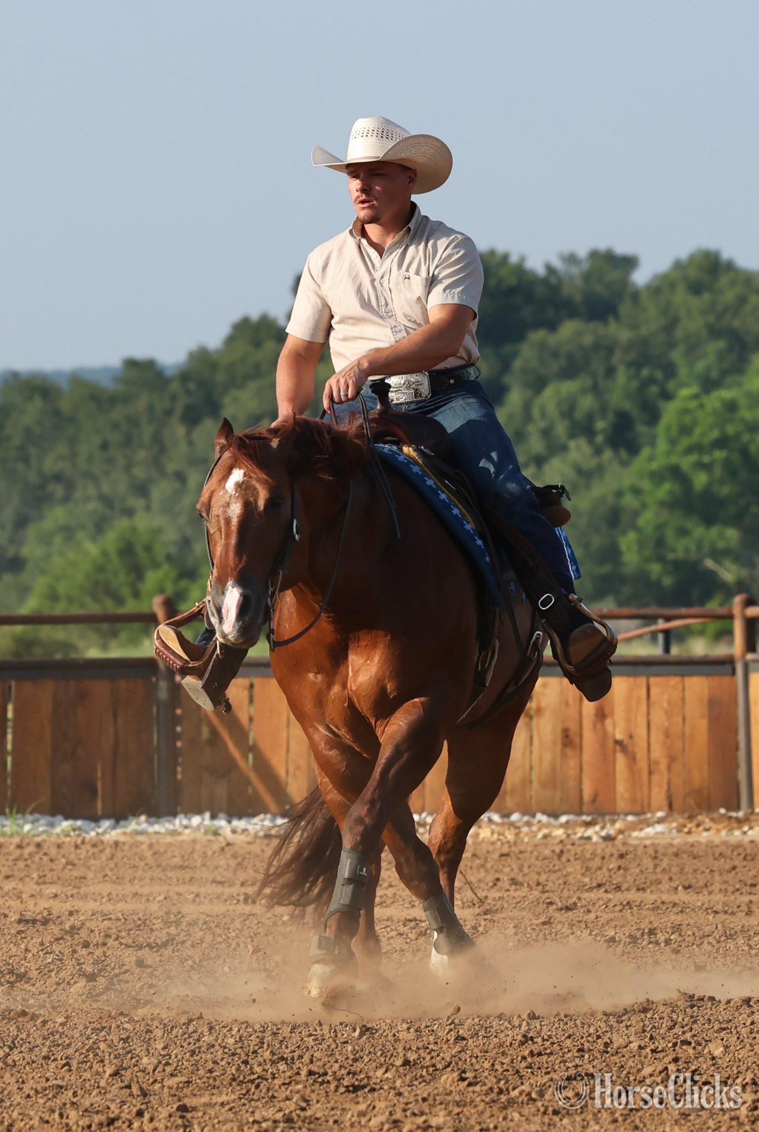 Quarter Horse - "Rufs Got Guns " Sorrel Gelding Quarter Horse in Ohio