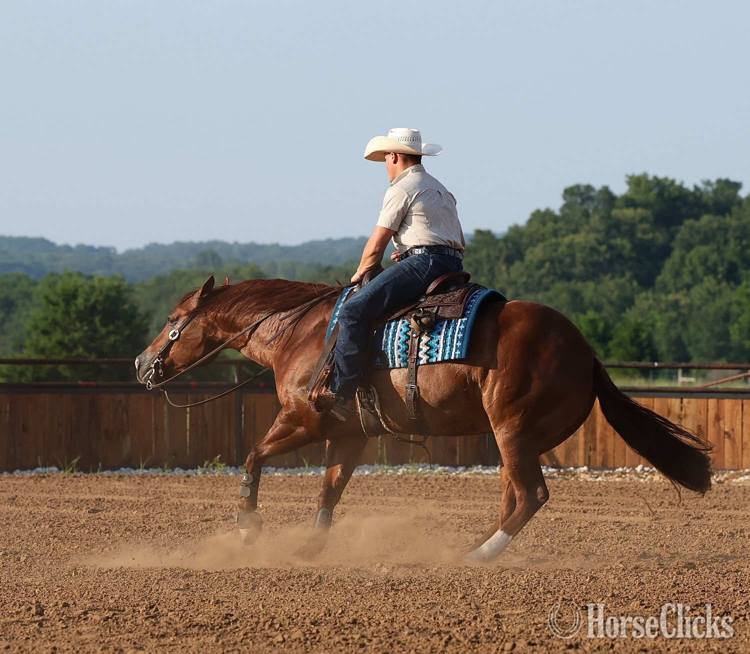 Quarter Horse - "Rufs Got Guns " Sorrel Gelding Quarter Horse