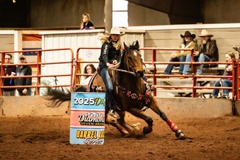 "Jana Top Shelf" Bay Gelding Quarter Horse