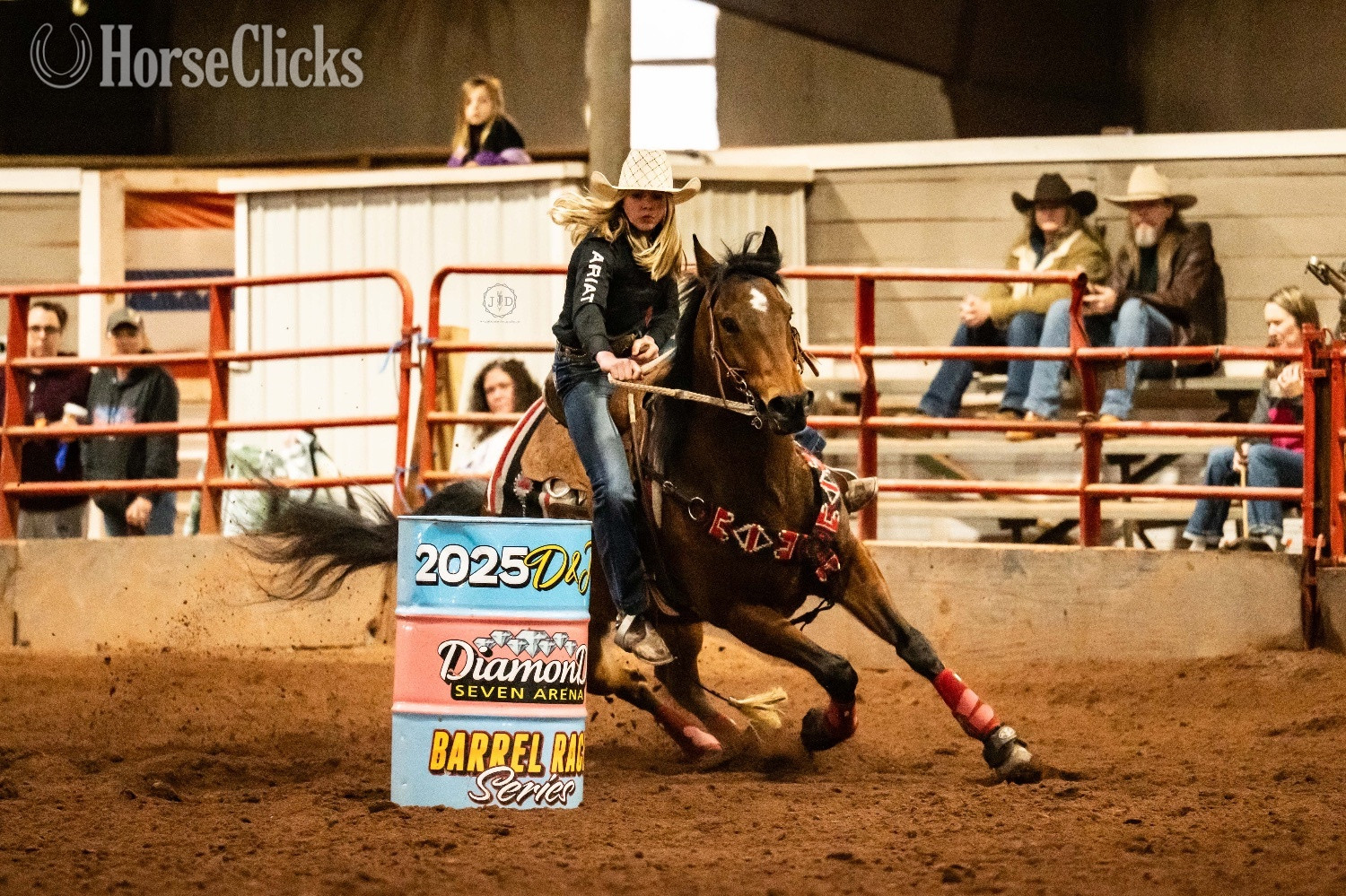 "Jana Top Shelf" Bay Gelding Quarter Horse in Pennsylvania