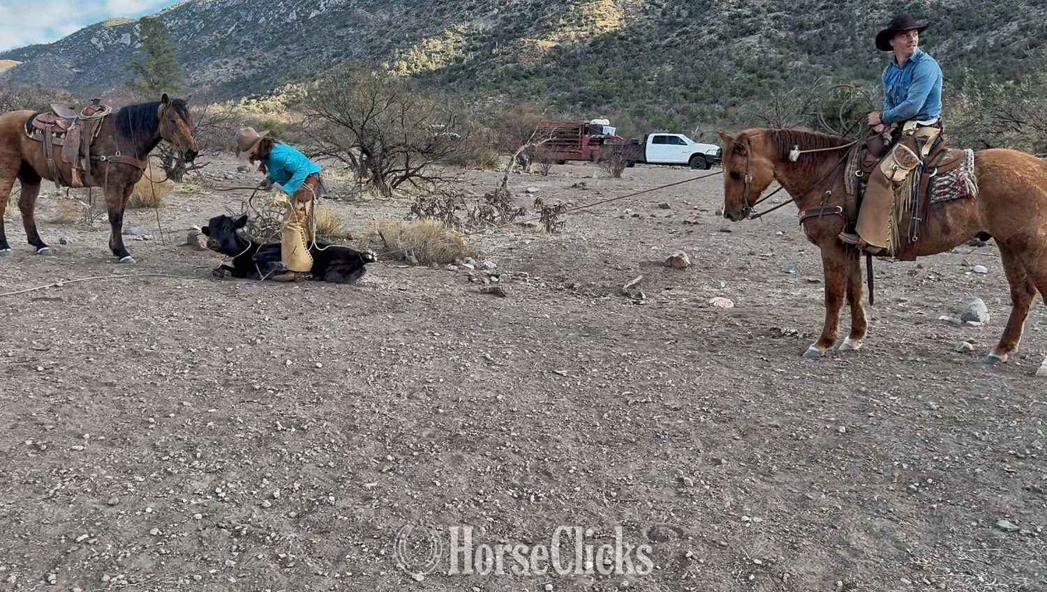 Quarter Horse - "Cow Boss " Dun Gelding Quarter Horse