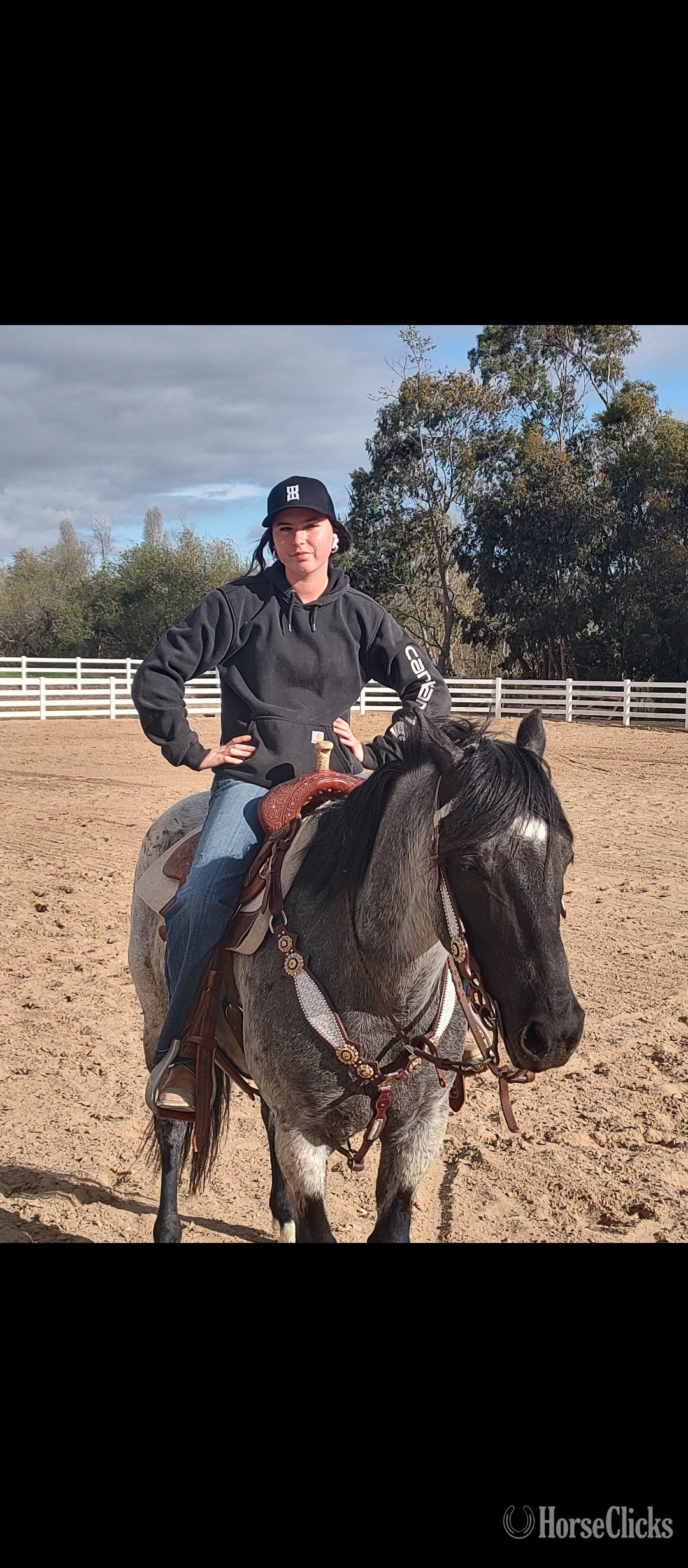 "Baloo" Blue Roan Gelding Quarter Horse