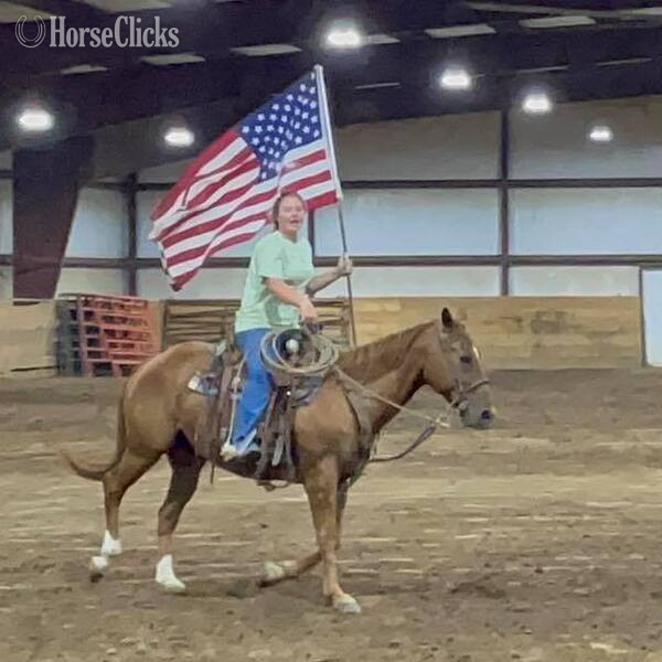 Quarter Horse - "Drake" Sorrel Gelding Quarter Horse in Texas