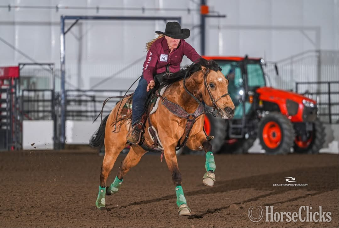 "VALOR" Buckskin Gelding Quarter Horse in Washington