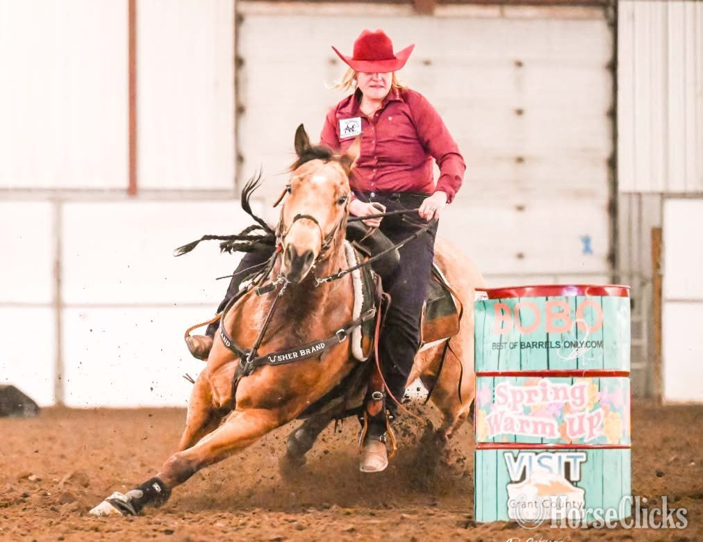 "VALOR" Buckskin Gelding Quarter Horse - Quarter Horse in Washington