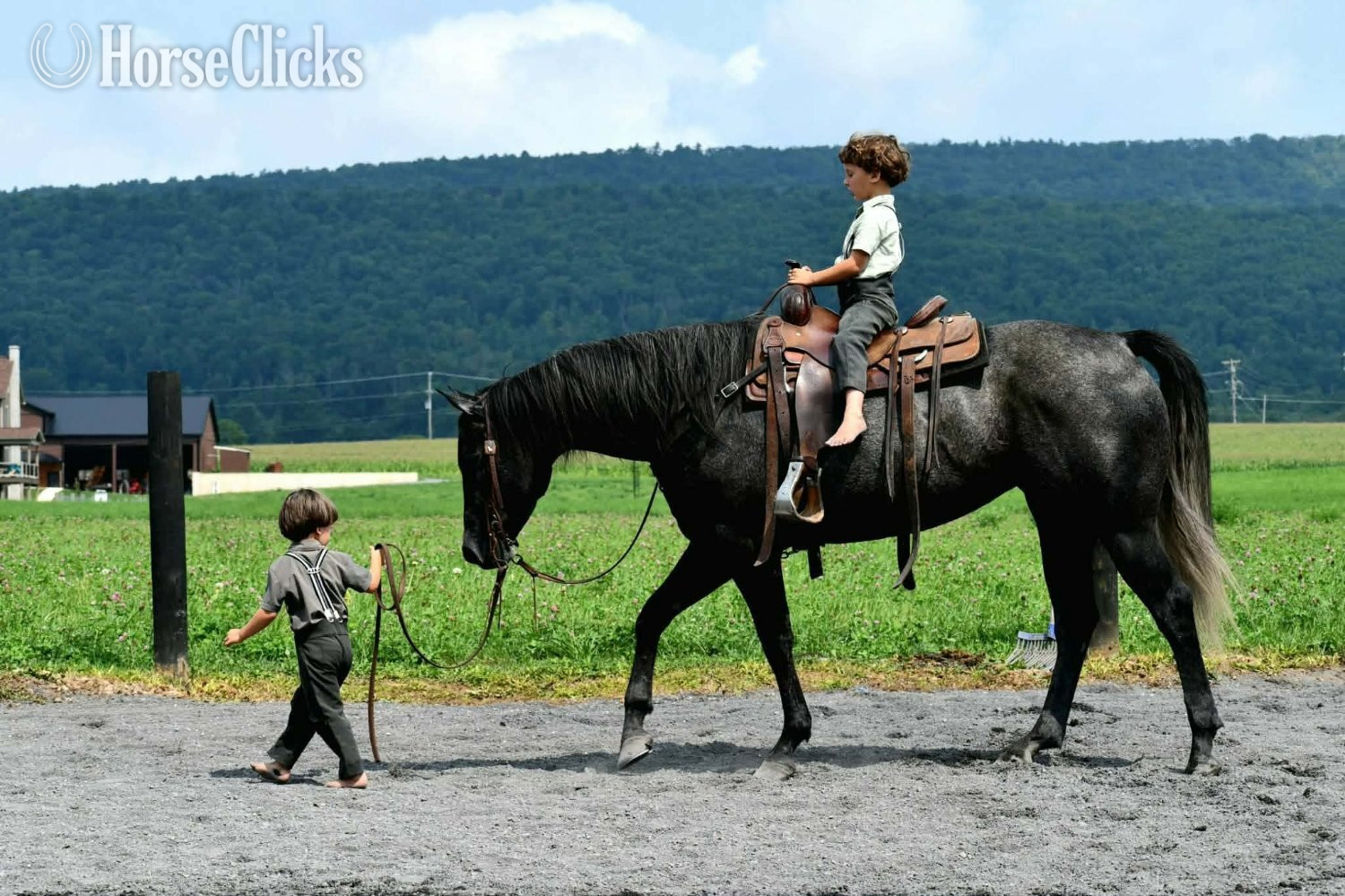 "Kitty Leroy" Grey Mare Quarter Horse