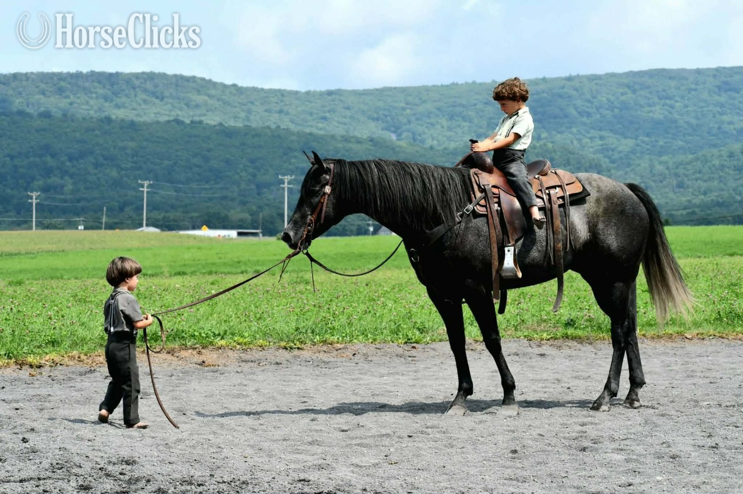 Pennsylvania "Kitty Leroy" Grey Mare Quarter Horse