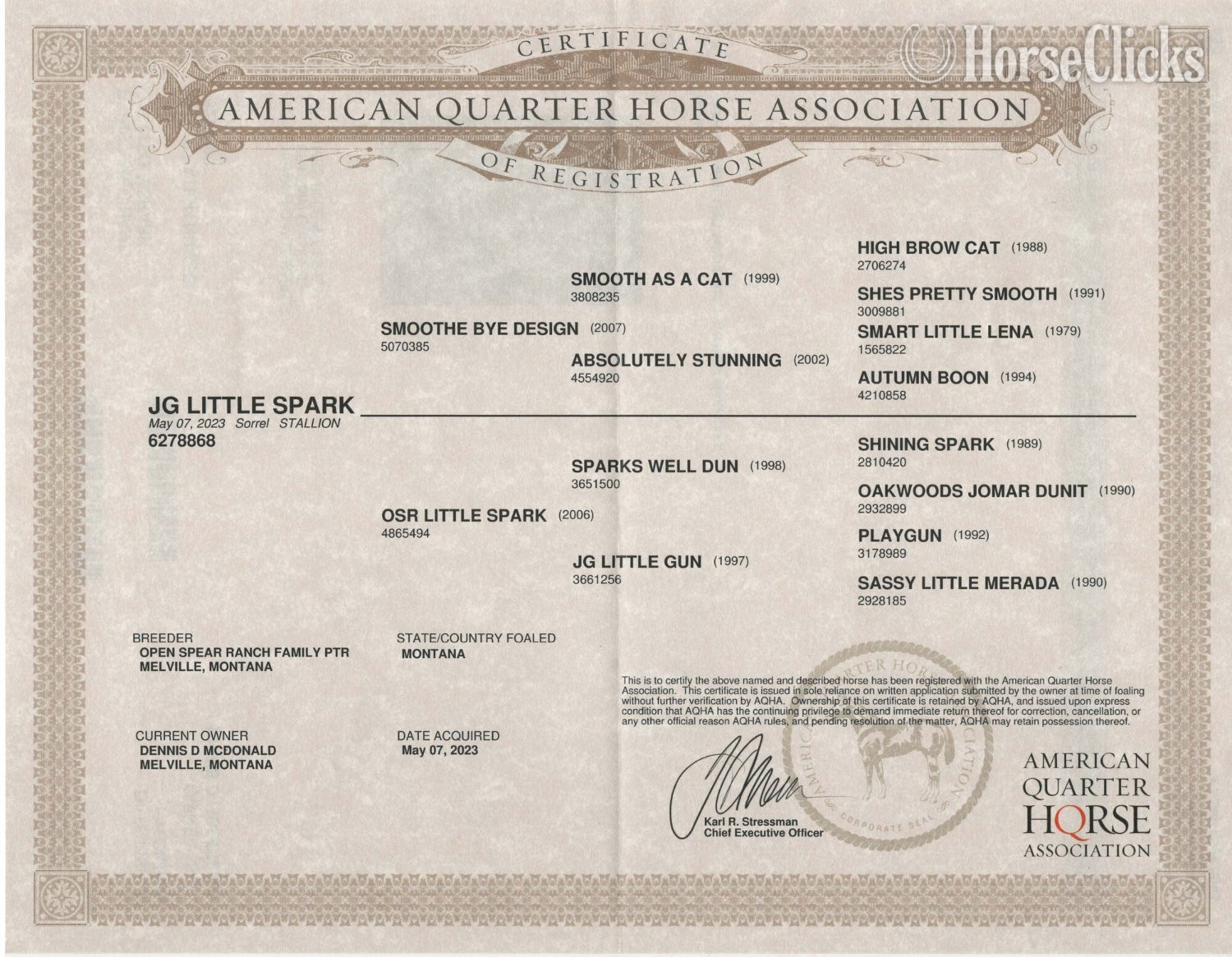 Montana "JG Little Spark" Sorrel Stallion Quarter Horse