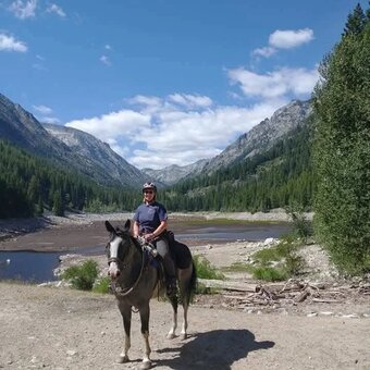 "Star Bellied Sneetch" Blue Roan Gelding Paint