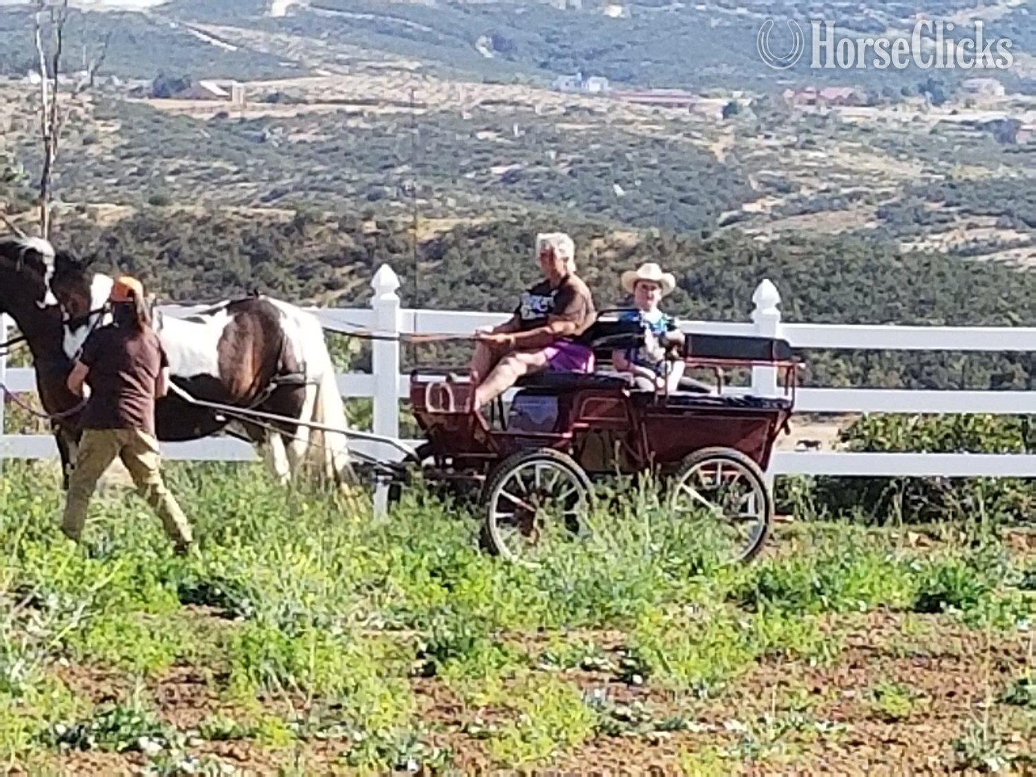 "MEGAN" Pinto Mare Gypsy Vanner - Gypsy Vanner