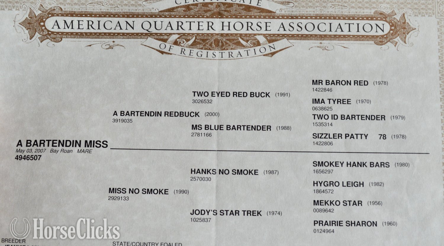 Quarter Horse - "No Smoke" Blue Roan Filly Quarter Horse in Missouri