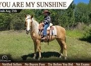 "You Are My Sunshine" Palomino Mare Azteca