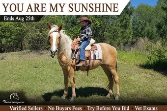 "You Are My Sunshine" Palomino Mare Azteca