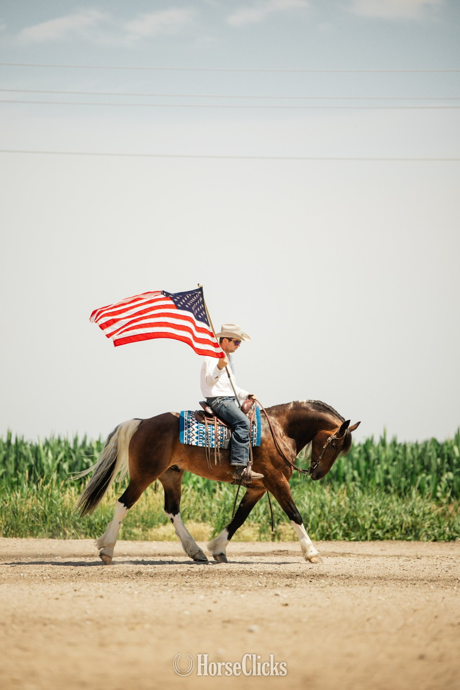 "Jackson" Pinto Gelding Gypsy Vanner Iowa