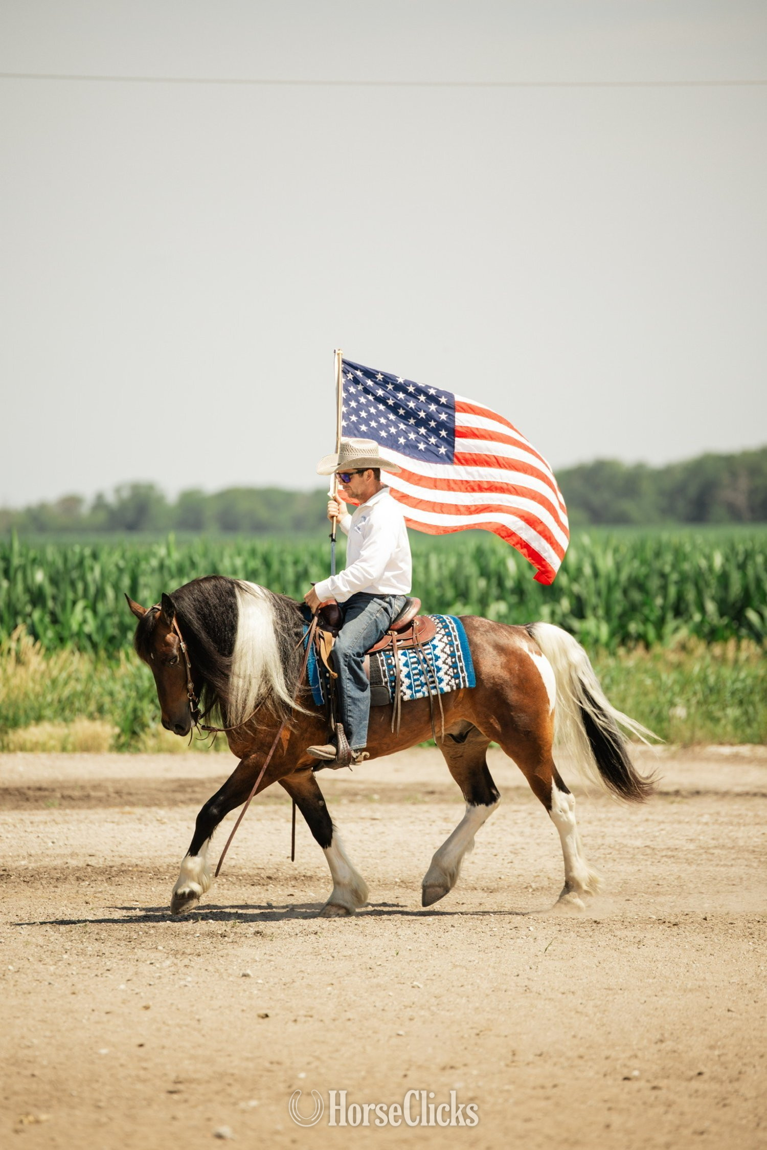 Gypsy Vanner - "Jackson" Pinto Gelding Gypsy Vanner