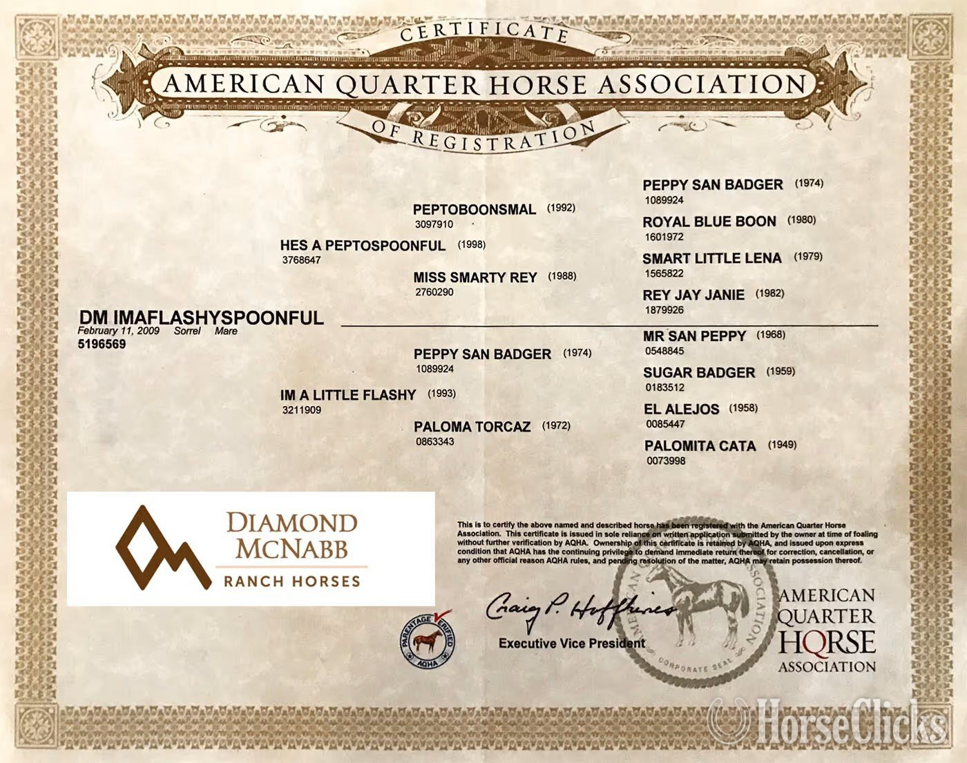 "Fancy " Sorrel Mare Quarter Horse