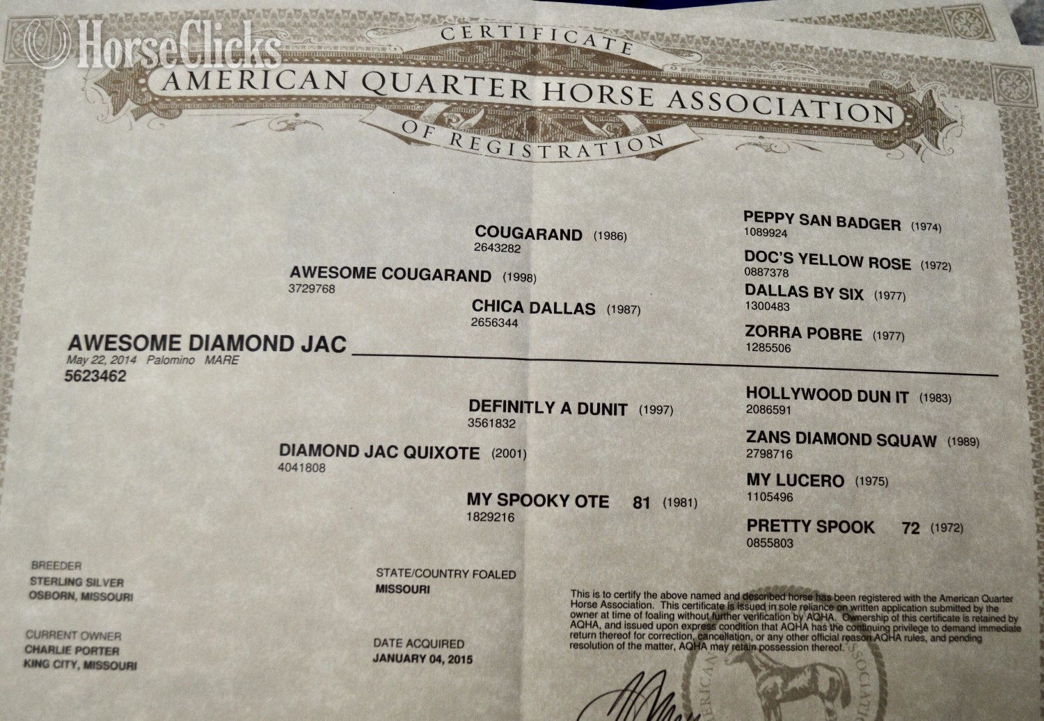 " Awesome Diamond Jac " Palomino Mare Quarter Horse - Quarter Horse