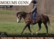 "Smokums Gunn" Grey Gelding Quarter Horse