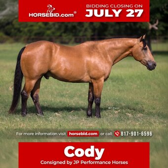 "Cody" Buckskin Gelding Quarter Horse