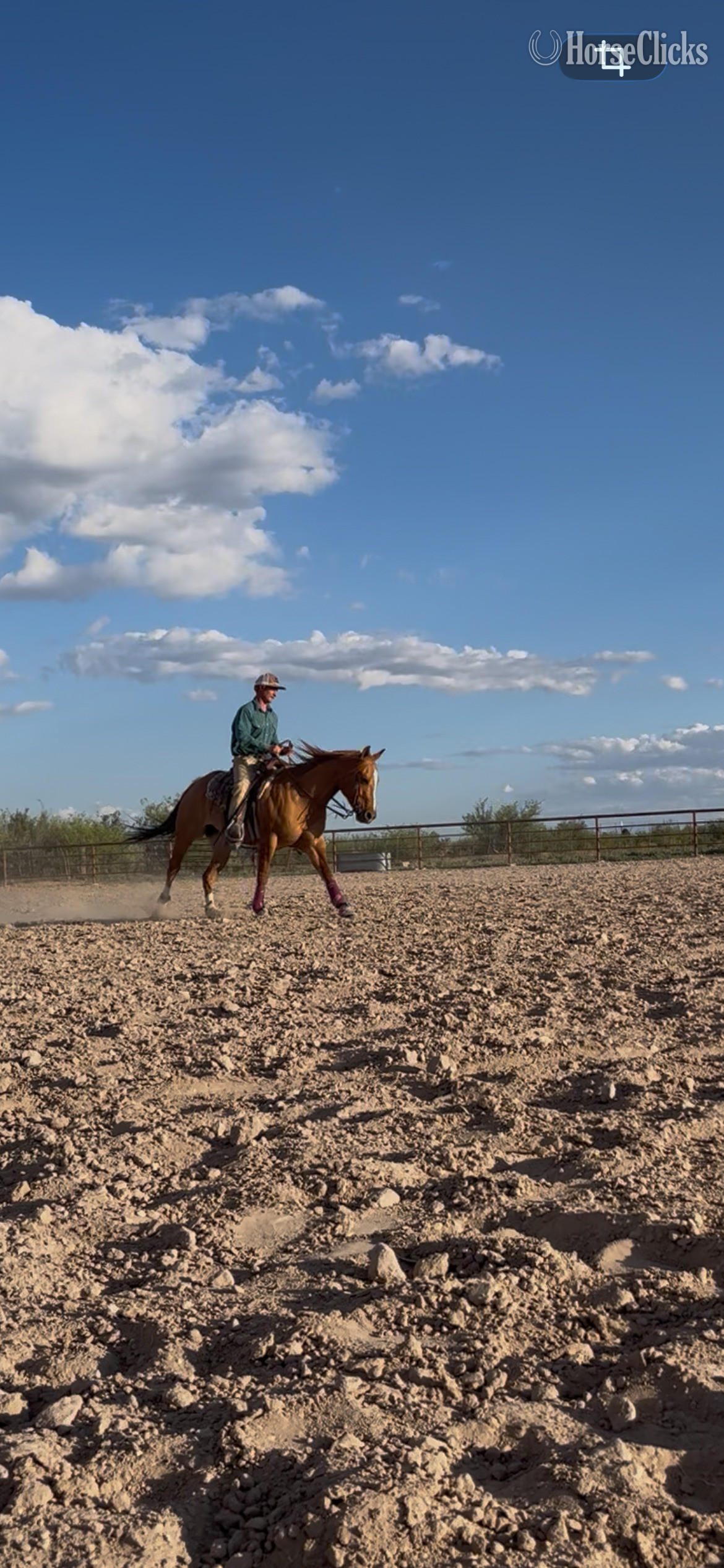 "Fire bar to impress" Dun Mare Quarter Horse in Arizona