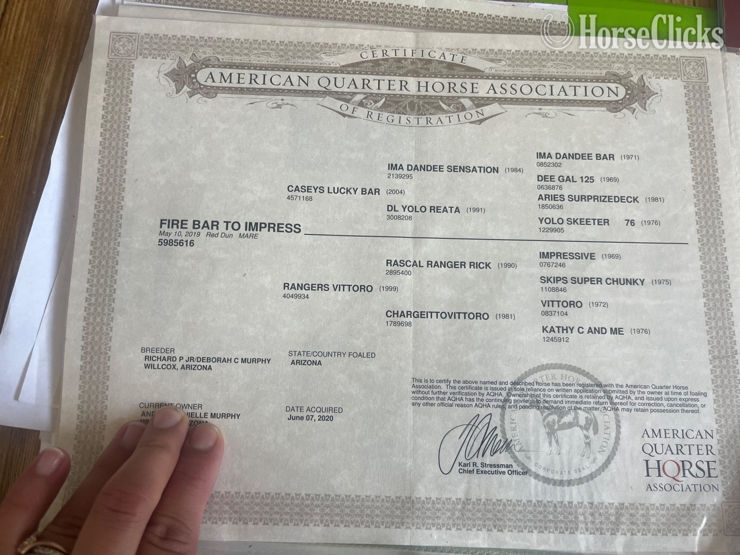"Fire bar to impress" Dun Mare Quarter Horse