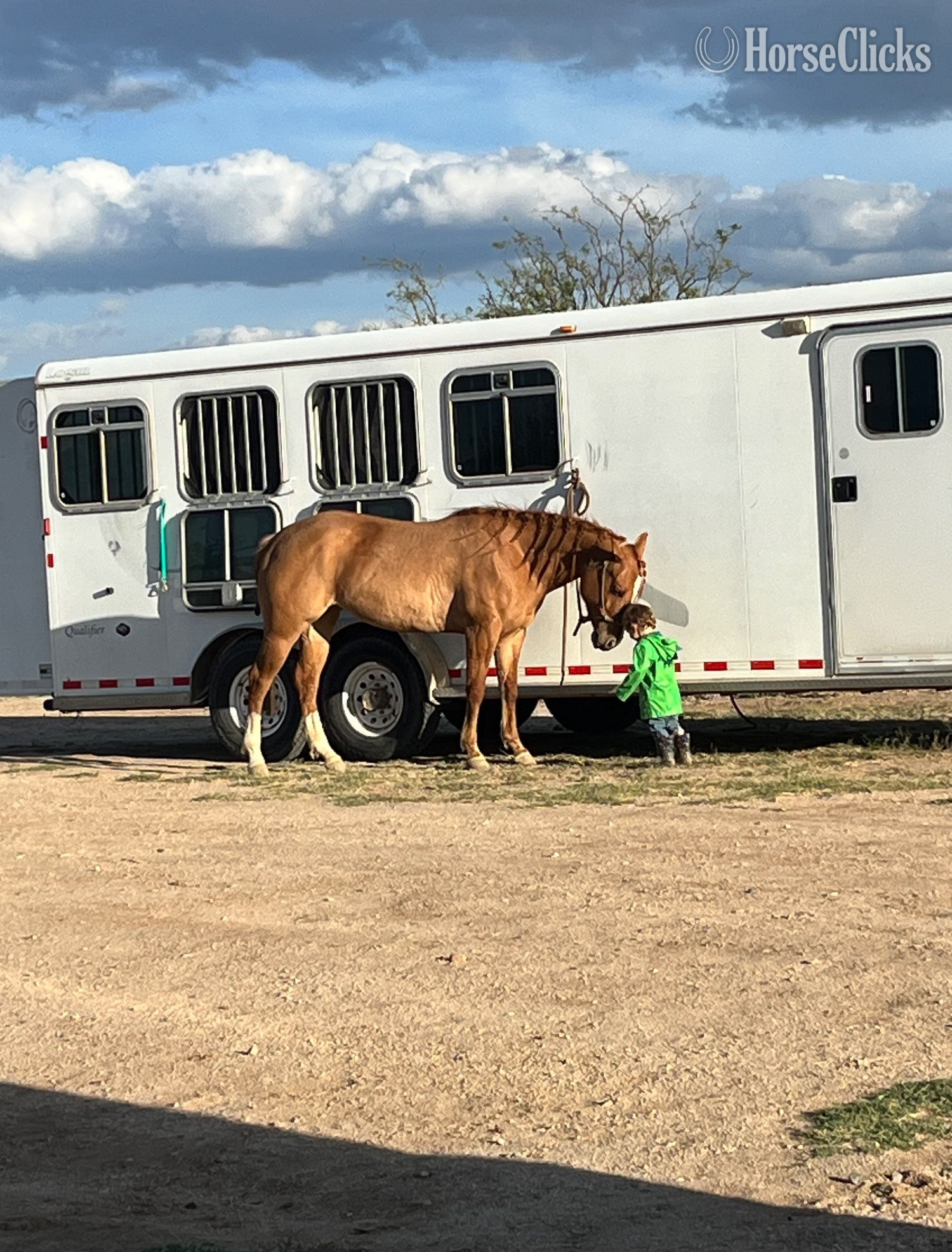 Arizona "Fire bar to impress" Dun Mare Quarter Horse