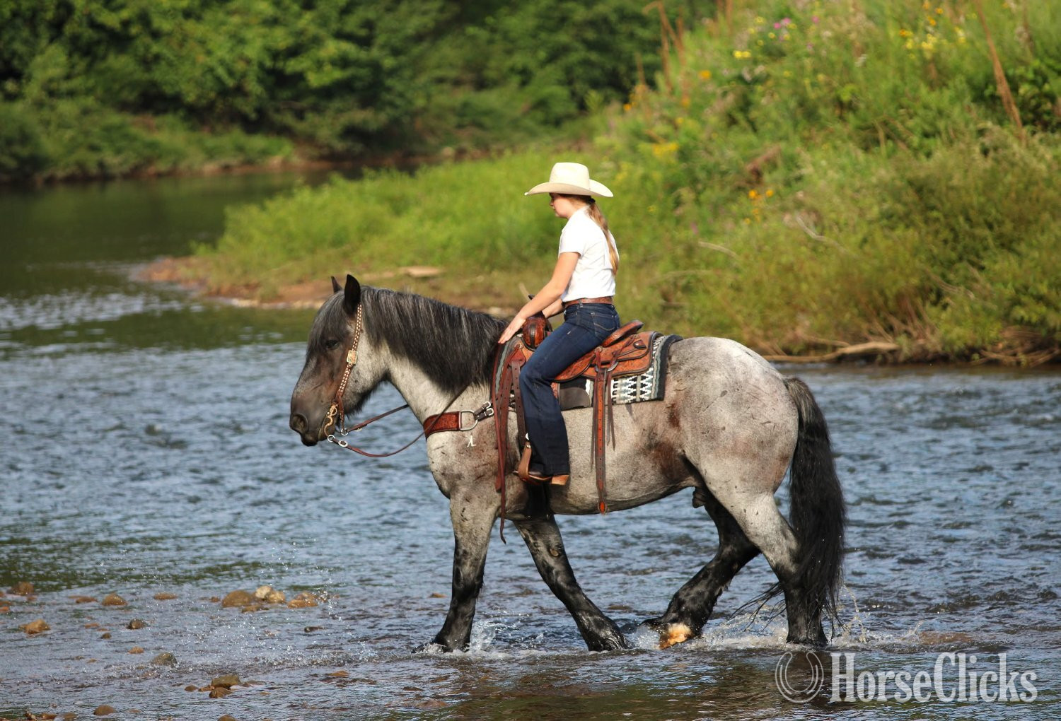 Pennsylvania "Big Easy" Blue Roan Gelding Draft