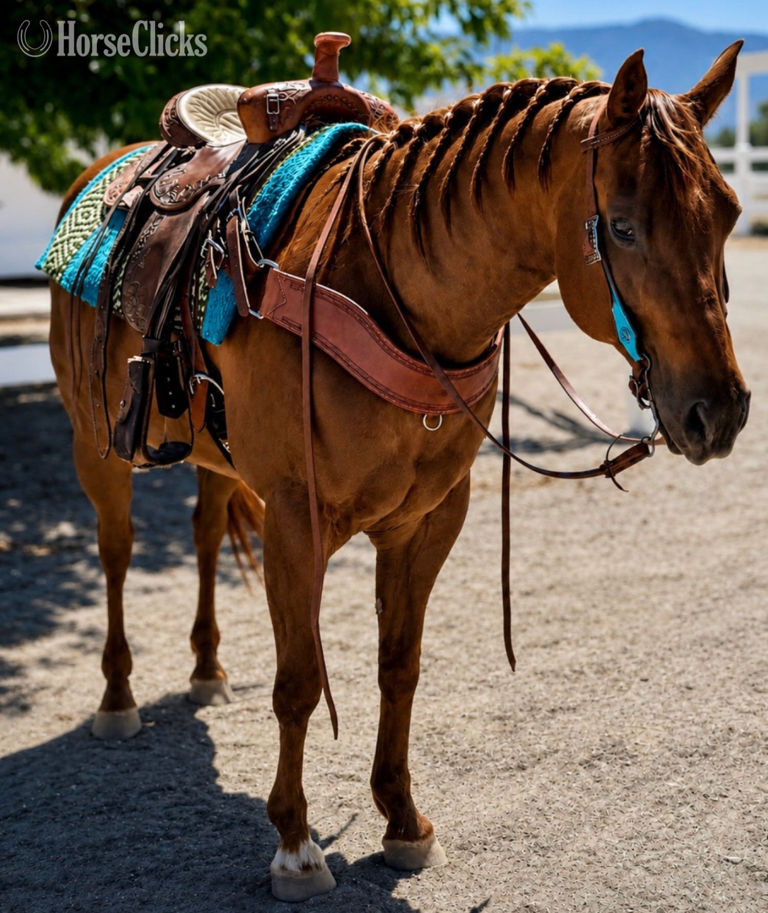 "Miss Dolly" Sorrel Mare Quarter Horse in California