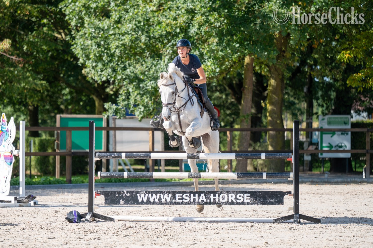 "Maserati Quality CARTHAGO x CORIANO" White Gelding Belgian