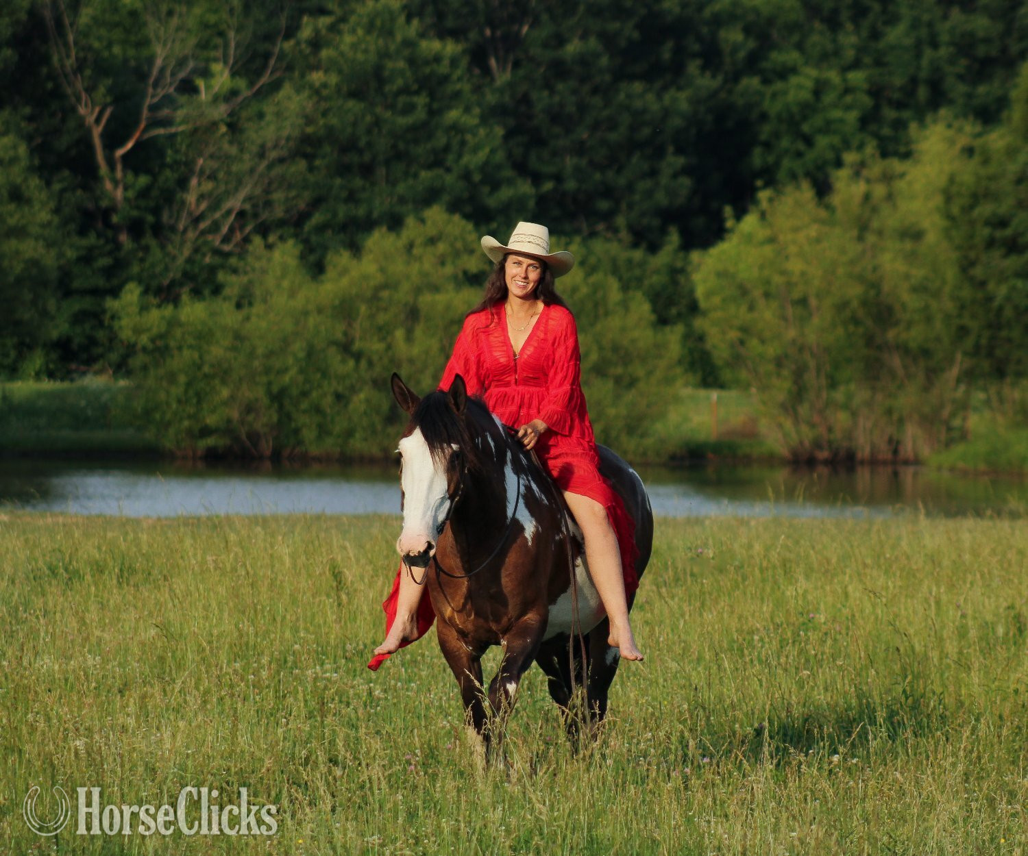 "Sassy " Pinto Mare Shire Kansas