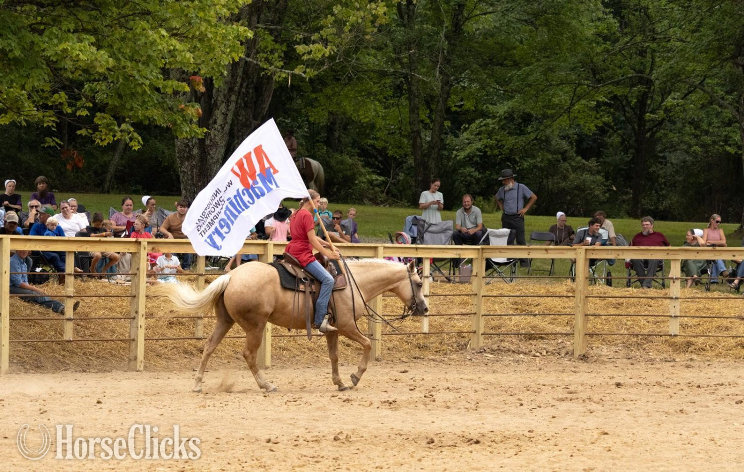 Quarter Horse - "Poncho" Palomino Gelding Quarter Horse in Ohio