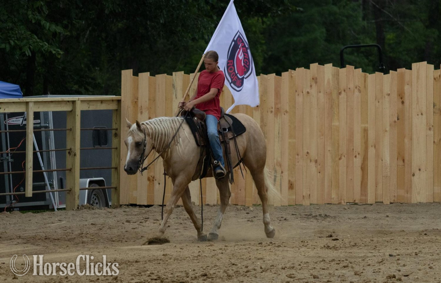 Quarter Horse - "Poncho" Palomino Gelding Quarter Horse